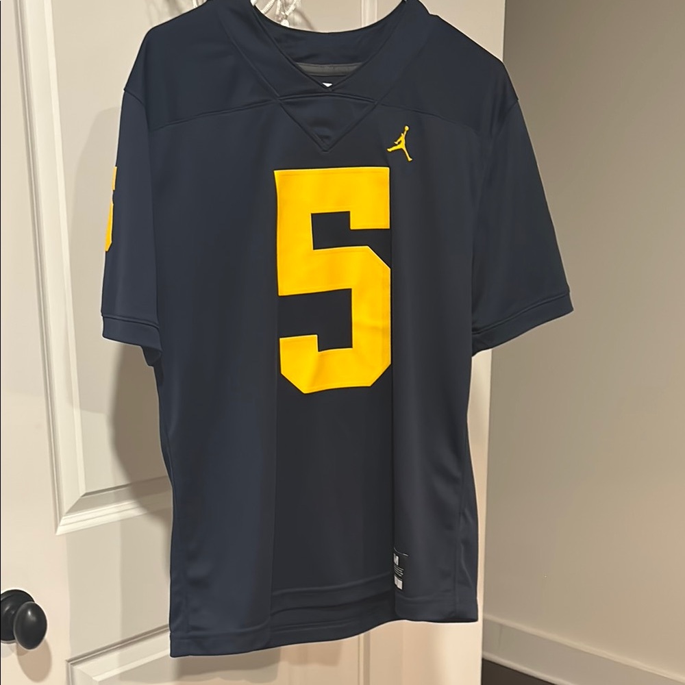 Jordan Men's Michigan Jersey